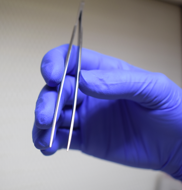 Forcep Straight