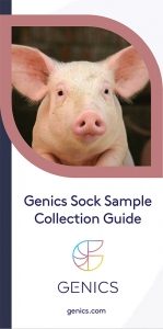 PMP Genics Sock Sample Collection Guide