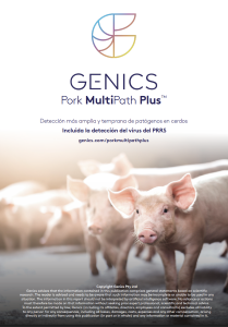 Pork Multipath Plus